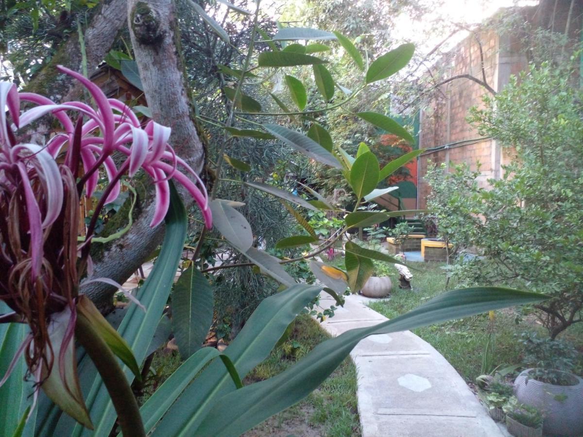 Montecarlos Hotel Ibagué 外观 照片